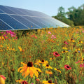 Benefits of Collaboration Between Solar Farms and Conservation Groups for Bee Populations