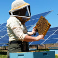 Community Education and Awareness about Bees and Solar Energy