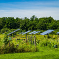 Alternative Pest Control Methods on Solar Farms: Promoting Sustainable Energy and Protecting Bee Populations