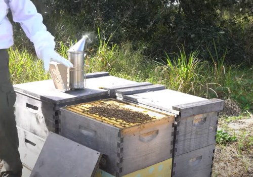 Nesting Boxes for Solitary Bees: Supporting Bee Populations and Promoting Sustainable Energy Practices