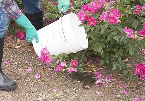 Avoiding Harmful Chemicals in Lawn and Garden Maintenance for Bee-Friendly Landscaping Practices