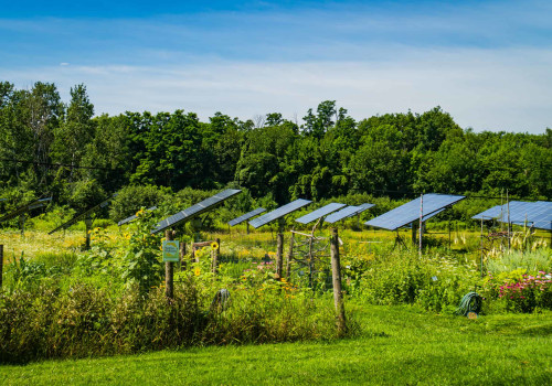 Alternative Pest Control Methods on Solar Farms: Promoting Sustainable Energy and Protecting Bee Populations